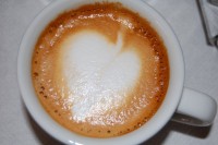 DSC_1084.jpg (104.78 KiB) Προβλήθηκε 11438 φορές DSC_1084.jpg