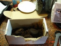 DSC00024 (640x480).jpg